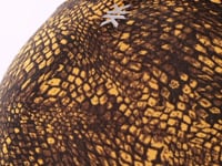 Legging Fitness Feminina Com Franzido Estampada Crocodile Skin Euphoria Dlk