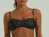 Top Biquíni Faixa Solaris Dlk Estampado Animal Print