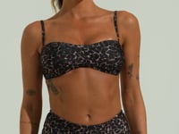 Calcinha Biquíni Hot Pant Solaris Dlk Estampada Animal Print