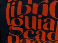 Blusa Fitness Feminina De Tule Grafite Estampada Equilíbrio Activity Dlk